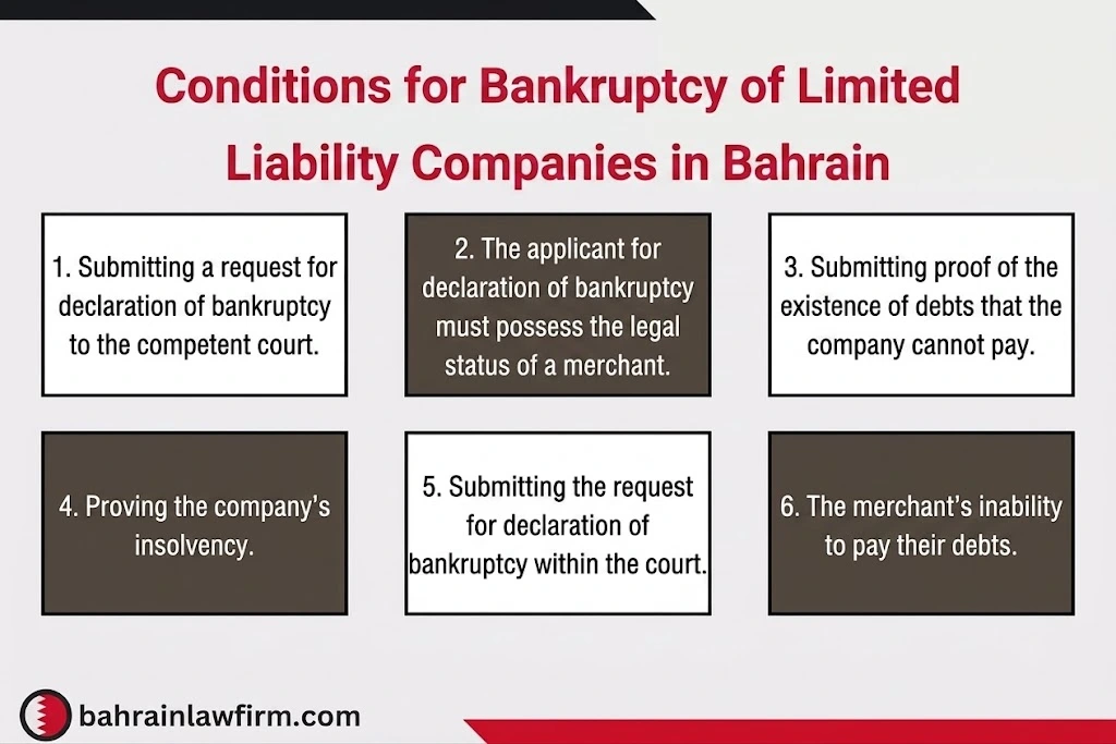 Limited Liability Company Bankruptcy